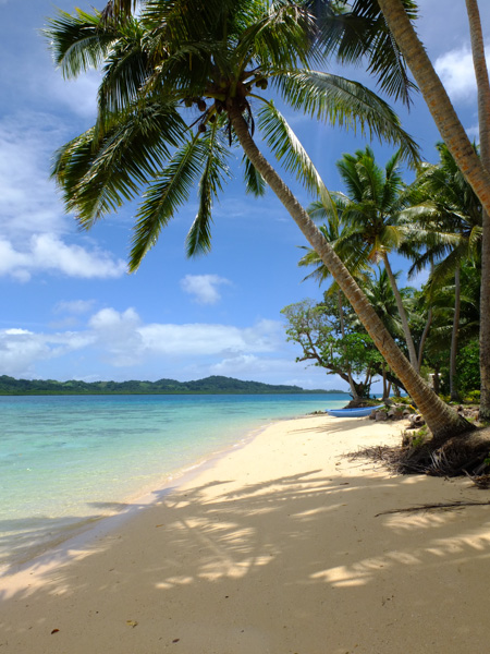 Beautiful tropical beaches